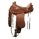 Tereque Coyote (6).webp