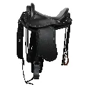 Tereque Coyote (9).webp