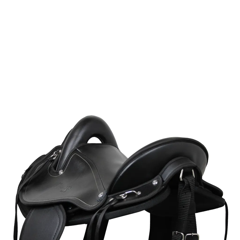 Tereque Coyote (10).webp