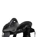 Tereque Coyote (10).webp