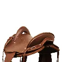 Tereque Coyote (7).webp