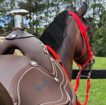 SILLA SABANERA 12.webp