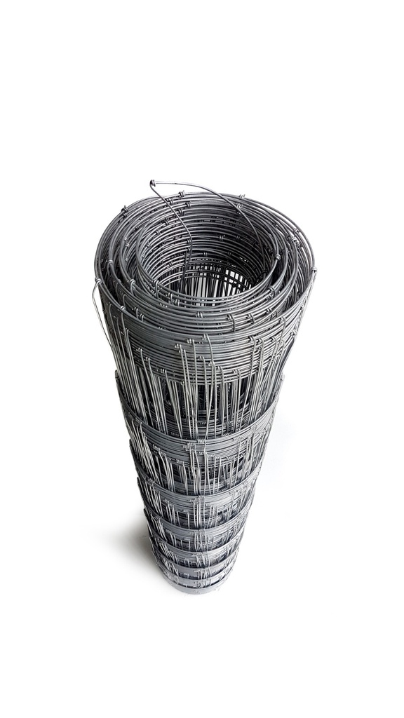 WhatsApp Image 2026-02-13 at 10.58.59 AM.jpeg