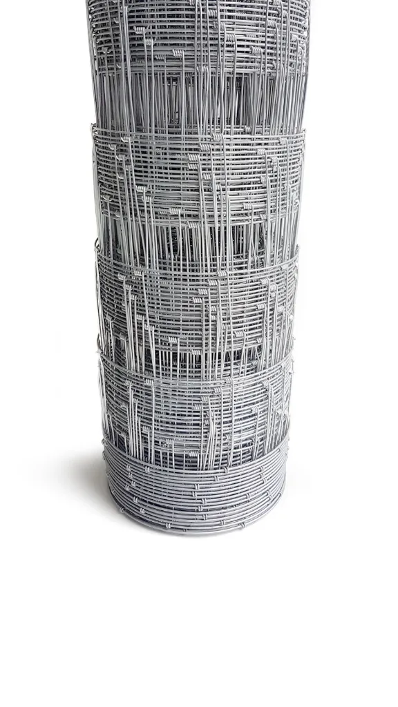 WhatsApp Image 2026-02-13 at 10.58.59 AM (2).webp