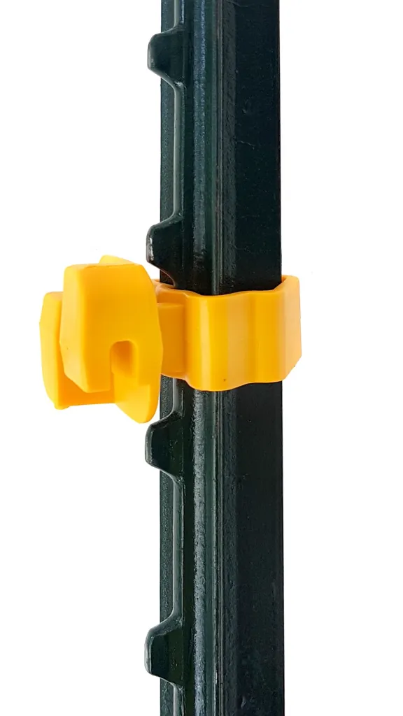 WhatsApp Image 2026-02-13 at 11.02.52 AM (1).webp