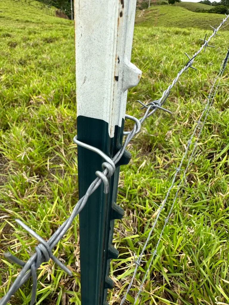 WhatsApp Image 2026-02-13 at 11.04.37 AM.webp