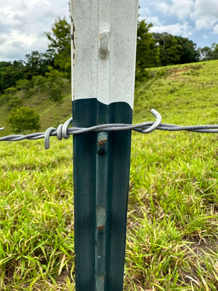 WhatsApp Image 2026-02-13 at 11.04.36 AM.webp