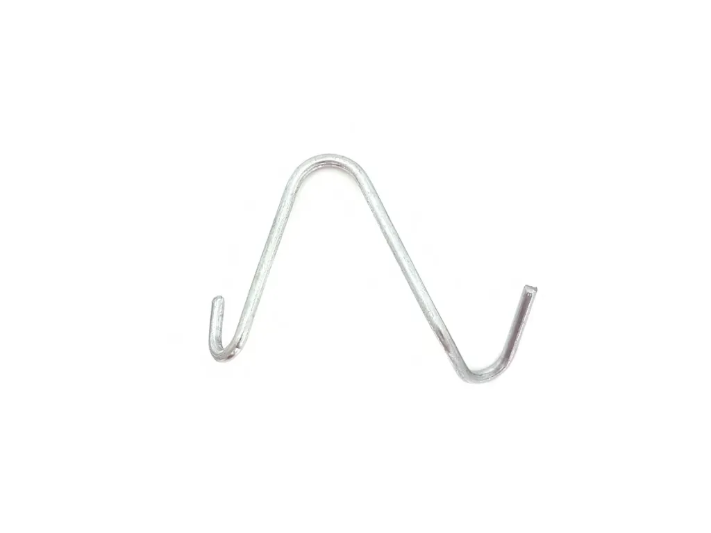 WhatsApp Image 2026-02-13 at 11.03.26 AM (1).webp