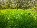foto 2.webp