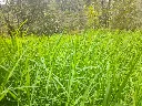 foto 1.webp