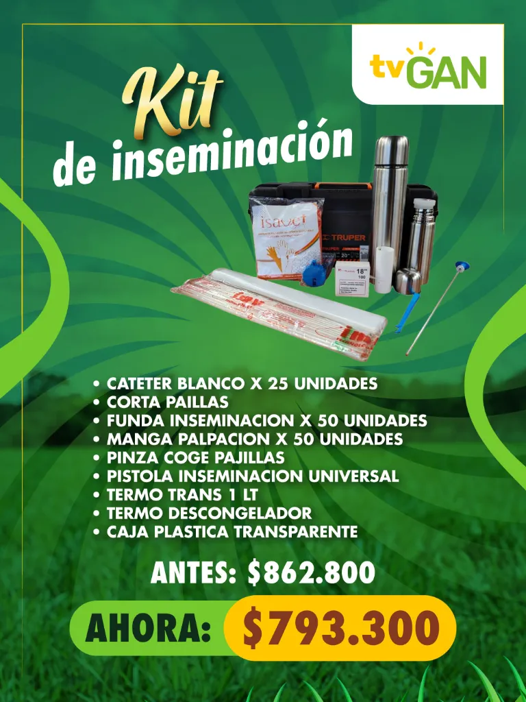COMBO-KIT-DE-INSEMINACIÓN-(INS-29)_POST.jpg.webp