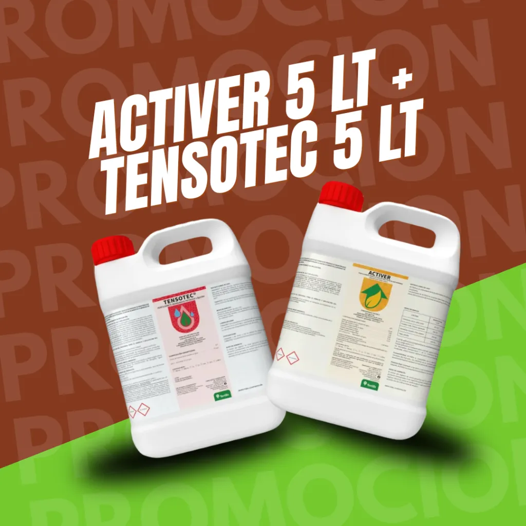 Diseño sin título (1).webp