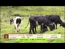 youtube - [Video]