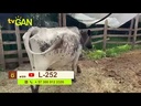 youtube - [Video]
