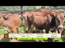 youtube - [Video]