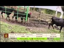 youtube - [Video]