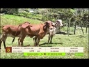youtube - [Video]