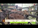 youtube - [Video]