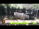 youtube - [Video]