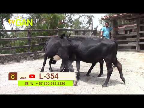 youtube - [Video]