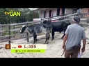 youtube - [Video]