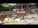 youtube - [Video]