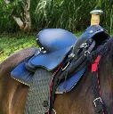 caballo 1 copia.webp