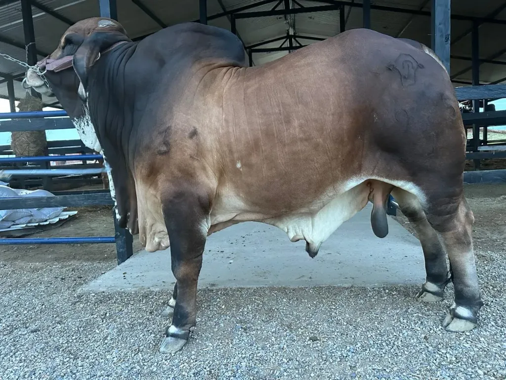 L-0374/26
