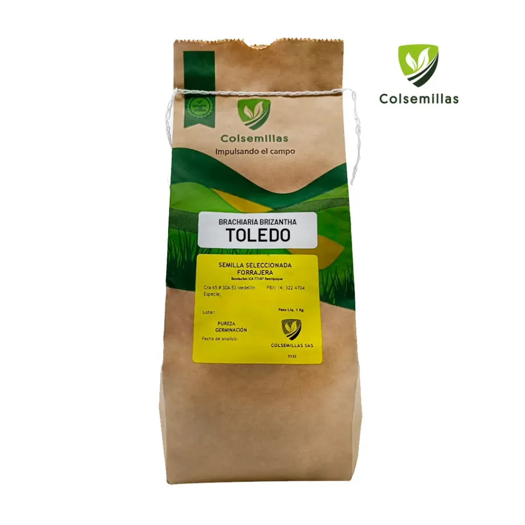 [COLSE-3] BRACHIARIA BRIZANTHA XARAES TOLEDO INCRUSTADA