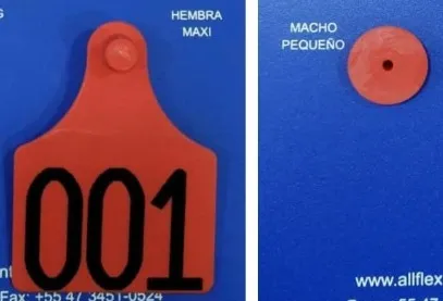 OREJERA HEMBRA MAXI/MACHO GRANDE MARCACION LASER