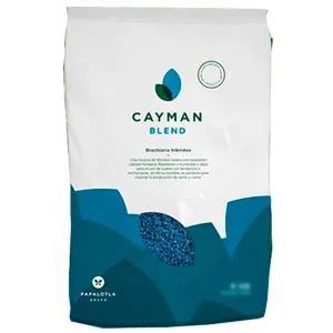 CAYMAN BLEND (BRACHIARIA HÍBRIDO)  X 2KG