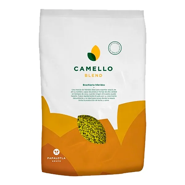 [IMP-20] CAMELLO (BRACHIARIA HÍBRIDO) X 2KG