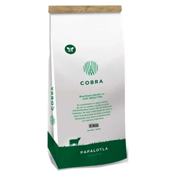 COBRA (BRACHIARIA HÍBRIDO) X 2KG