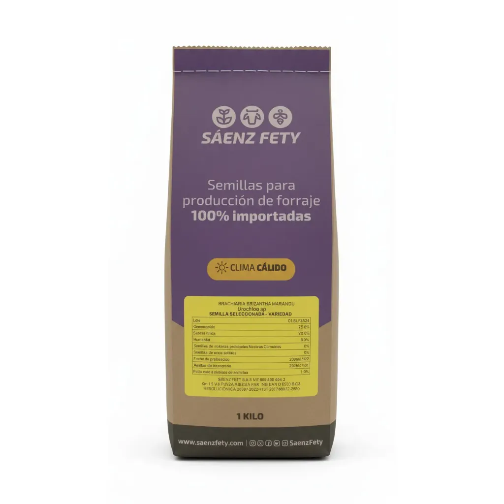 [SAE-1] BRACHIARIA MARANDU Desnuda