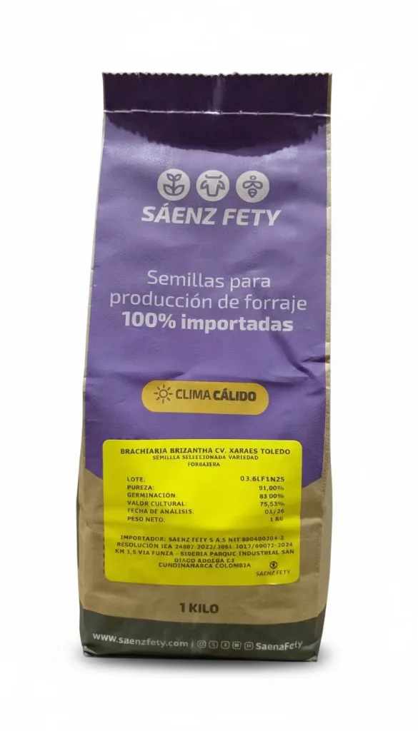 [SAE-38] BRIZANTA XARAES TOLEDO desnuda