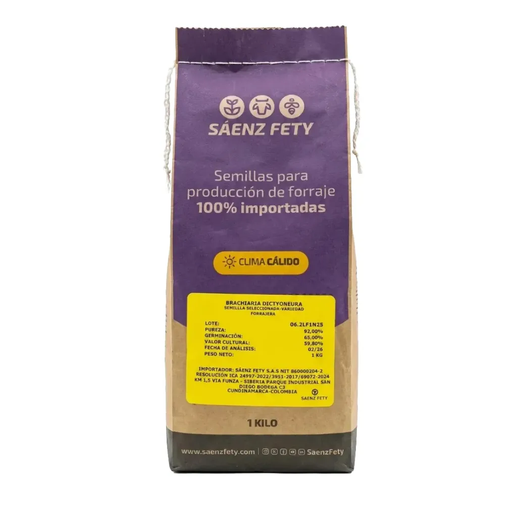 [SAE-6] BRACHIARIA LLANERO Desnuda