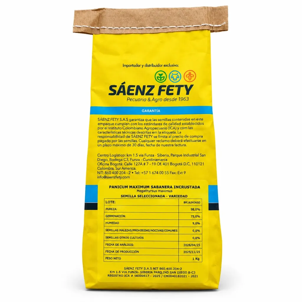 [SAE-75] PANICUM MAXIMUM AGROSAVIA SABANERA Incrustada