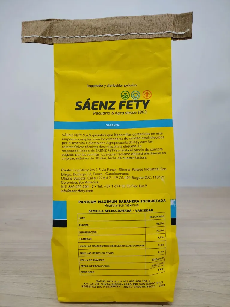 [SAE-75] PANICUM MAXIMUM AGROSAVIA SABANERA Incrustada