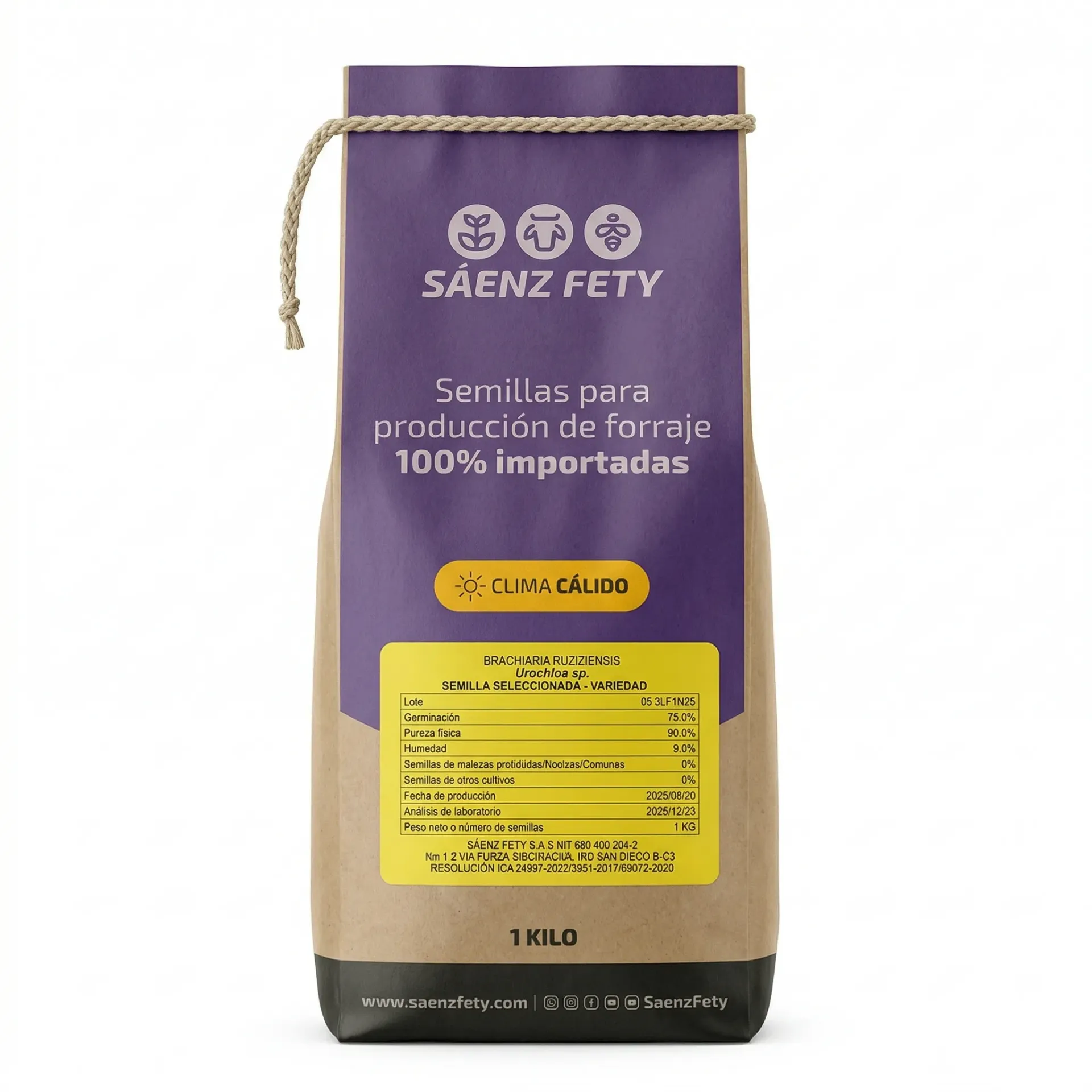 BRACHIARIA RUZIZIENSIS DESNUDA