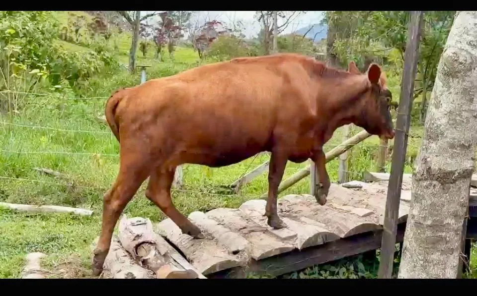 L-0160/26